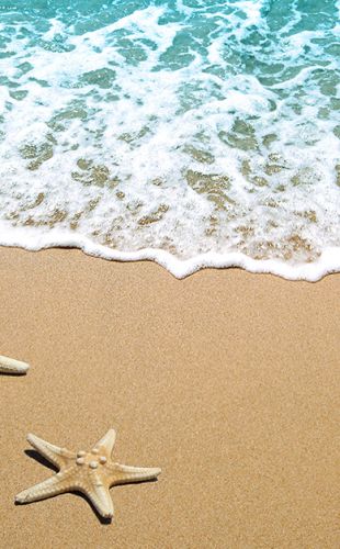 ProMove in de zomervakantie